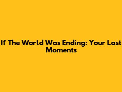 If The World Was Ending: Your Last Moments