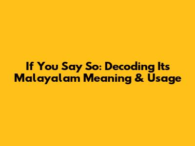 If You Say So: Decoding Its Malayalam Meaning & Usage