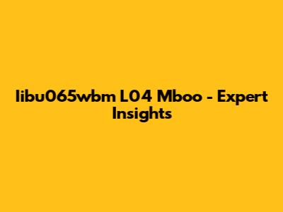 Iibu065wbm L04 Mboo - Expert Insights