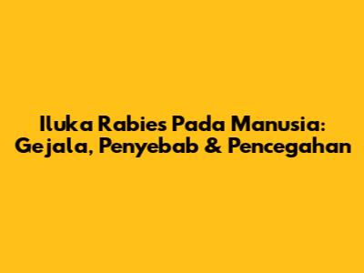 Iluka Rabies Pada Manusia: Gejala, Penyebab & Pencegahan