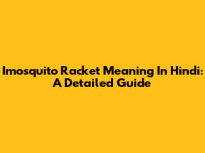 Imosquito Racket Meaning In Hindi: A Detailed Guide