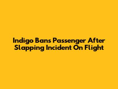 Indigo Bans Passenger After Slapping Incident On Flight