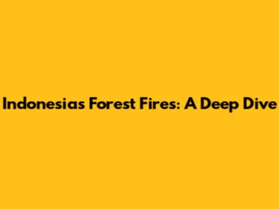 Indonesia's Forest Fires: A Deep Dive