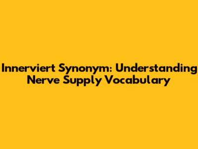 Innerviert Synonym: Understanding Nerve Supply Vocabulary