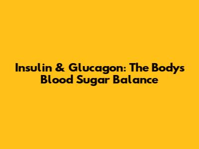 Insulin & Glucagon: The Body's Blood Sugar Balance