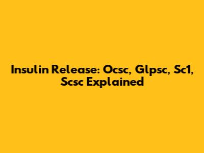 Insulin Release: Ocsc, Glpsc, Sc1, Scsc Explained