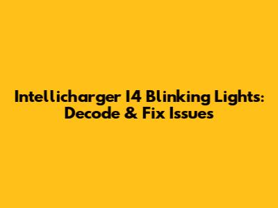 Intellicharger I4 Blinking Lights: Decode & Fix Issues