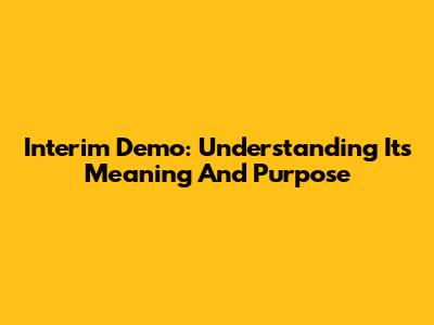 Interim Demo: Understanding Its Meaning And Purpose