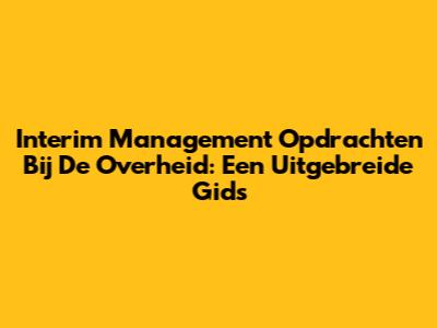 Interim Management Opdrachten Bij De Overheid: Een Uitgebreide Gids