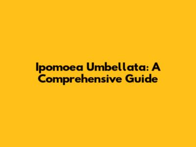 Ipomoea Umbellata: A Comprehensive Guide