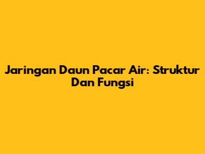 Jaringan Daun Pacar Air: Struktur Dan Fungsi