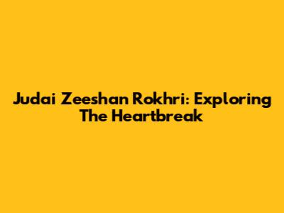 Judai Zeeshan Rokhri: Exploring The Heartbreak