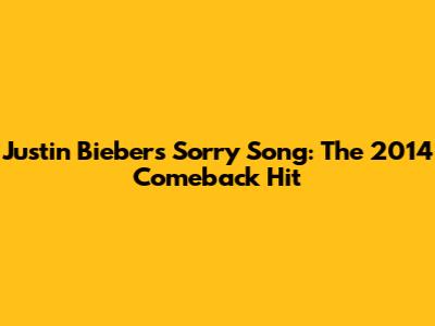 Justin Bieber's "Sorry" Song: The 2014 Comeback Hit