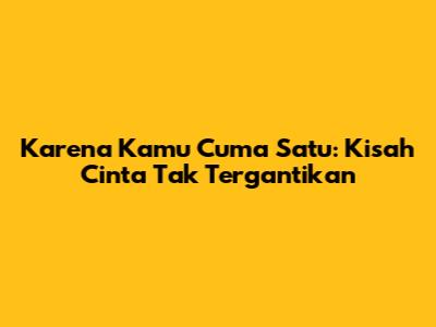 Karena Kamu Cuma Satu: Kisah Cinta Tak Tergantikan
