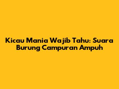 Kicau Mania Wajib Tahu: Suara Burung Campuran Ampuh
