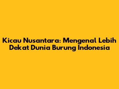 Kicau Nusantara: Mengenal Lebih Dekat Dunia Burung Indonesia