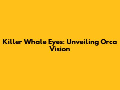 Killer Whale Eyes: Unveiling Orca Vision