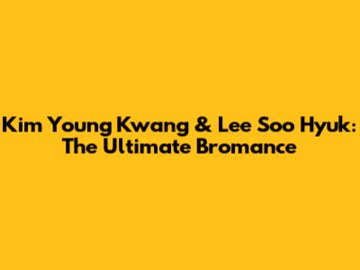 Kim Young Kwang & Lee Soo Hyuk: The Ultimate Bromance