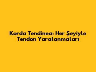 Korda Tendinea: Her Şeyiyle Tendon Yaralanmaları