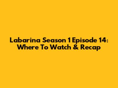 Labarina Season 1 Episode 14: Where To Watch & Recap