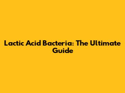 Lactic Acid Bacteria: The Ultimate Guide
