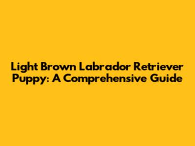Light Brown Labrador Retriever Puppy: A Comprehensive Guide