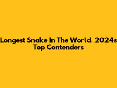 Longest Snake In The World: 2024's Top Contenders