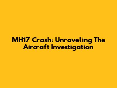 MH17 Crash: Unraveling The Aircraft Investigation