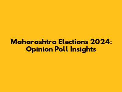 Maharashtra Elections 2024: Opinion Poll Insights