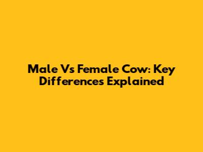 Male Vs Female Cow: Key Differences Explained