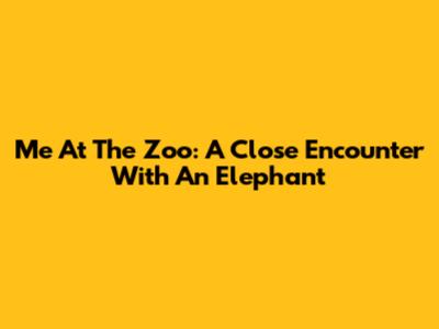 Me At The Zoo: A Close Encounter With An Elephant