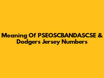 Meaning Of PSEOSCBANDASCSE & Dodgers Jersey Numbers