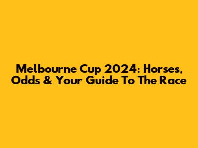 Melbourne Cup 2024: Horses, Odds & Your Guide To The Race