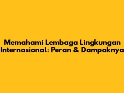 Memahami Lembaga Lingkungan Internasional: Peran & Dampaknya