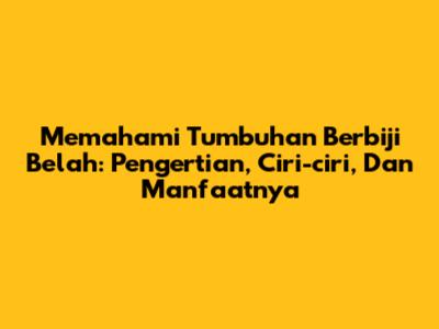 Memahami Tumbuhan Berbiji Belah: Pengertian, Ciri-ciri, Dan Manfaatnya