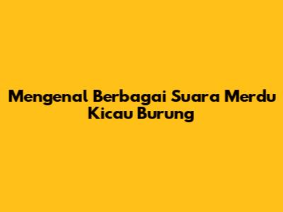 Mengenal Berbagai Suara Merdu Kicau Burung