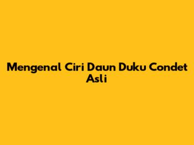 Mengenal Ciri Daun Duku Condet Asli