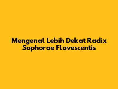 Mengenal Lebih Dekat Radix Sophorae Flavescentis