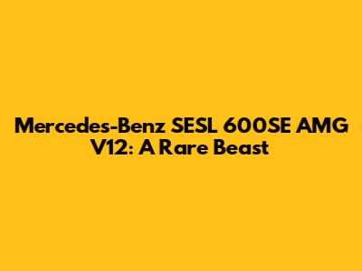 Mercedes-Benz SESL 600SE AMG V12: A Rare Beast