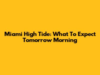 Miami High Tide: What To Expect Tomorrow Morning