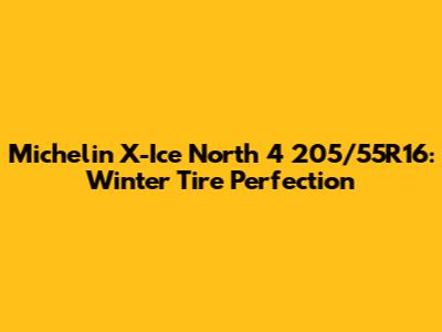 Michelin X-Ice North 4 205/55R16: Winter Tire Perfection