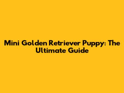Mini Golden Retriever Puppy: The Ultimate Guide