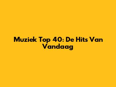 Muziek Top 40: De Hits Van Vandaag