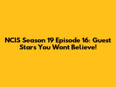 NCIS Season 19 Episode 16: Guest Stars You Won't Believe!