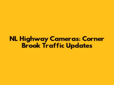 NL Highway Cameras: Corner Brook Traffic Updates