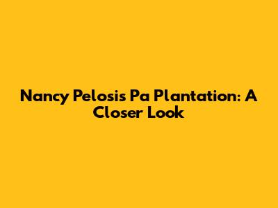 Nancy Pelosi's Pa Plantation: A Closer Look