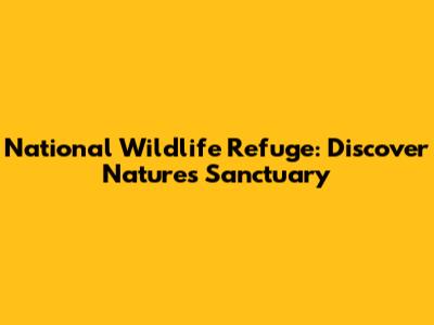 National Wildlife Refuge: Discover Nature's Sanctuary