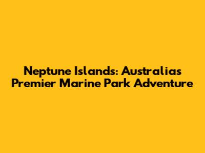 Neptune Islands: Australia's Premier Marine Park Adventure