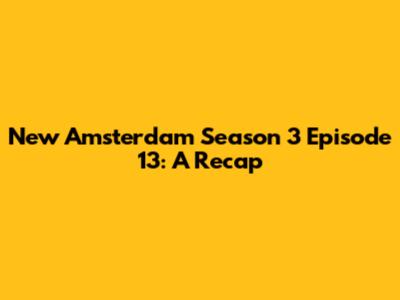 New Amsterdam Season 3 Episode 13: A Recap