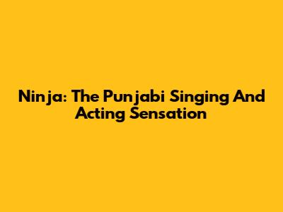 Ninja: The Punjabi Singing And Acting Sensation